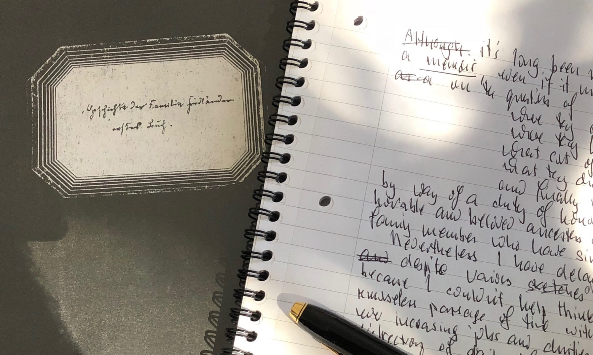 History of the Friedlander Family